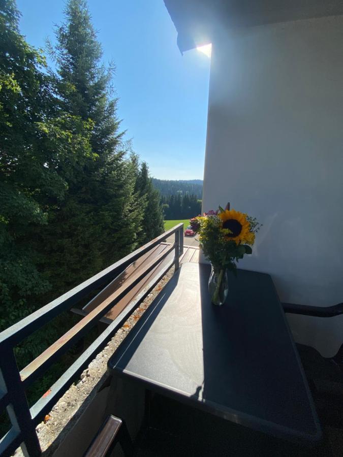 Dreisessel Dreilaendereck Pool Sauna Neureichenau Esterno foto