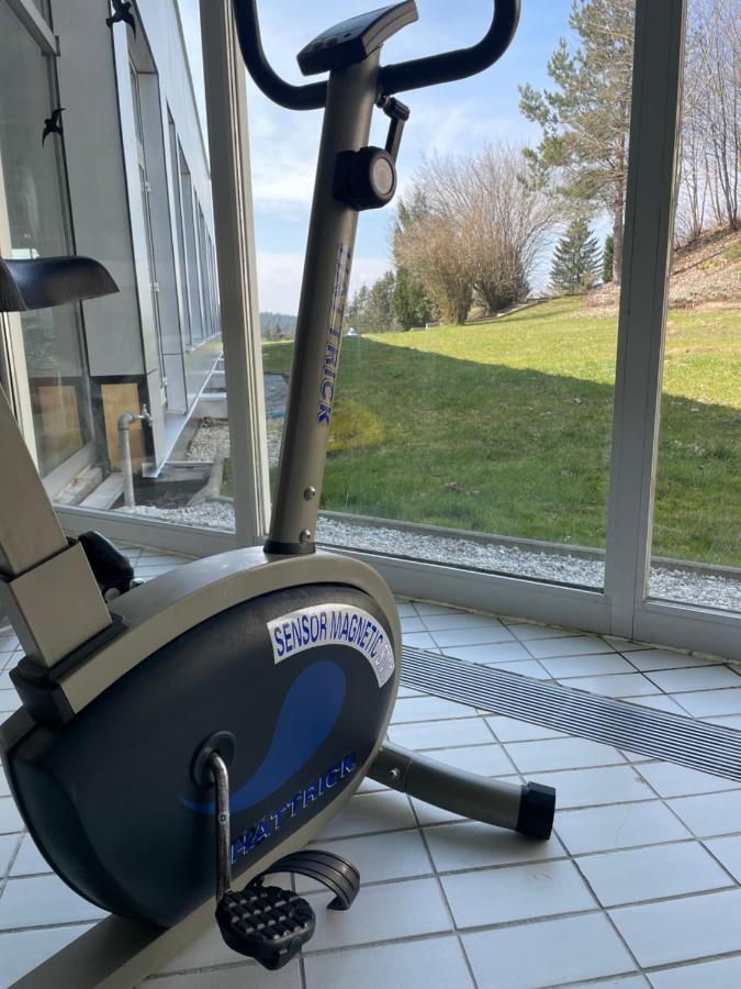 Dreisessel Dreilaendereck Pool Sauna Neureichenau Esterno foto